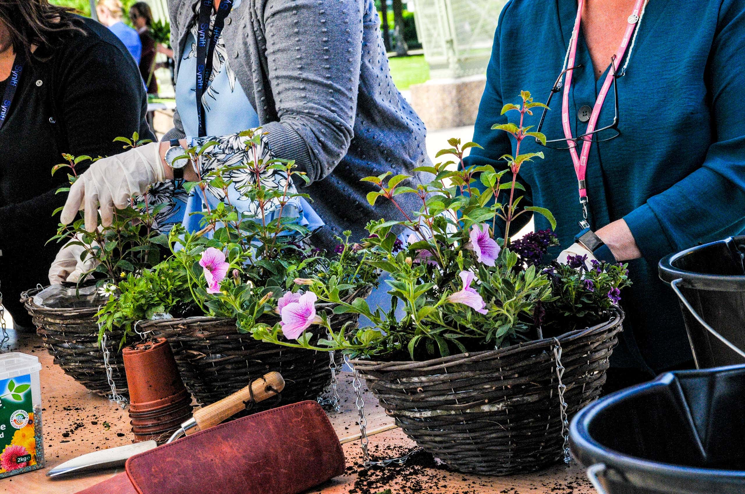 Hanging Basket Workshop