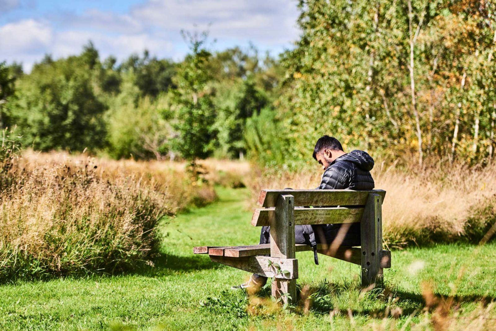 Practising Mindfulness Free Workshops