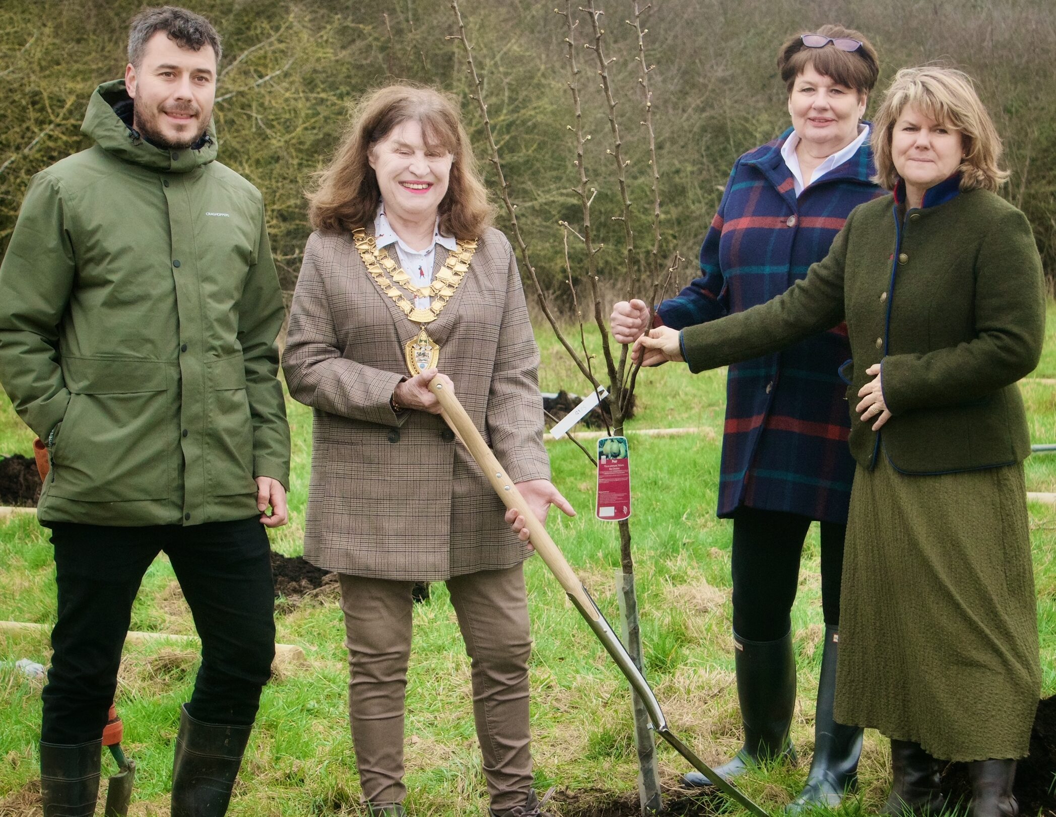 New fruit orchard planted at Blythe Valley Park