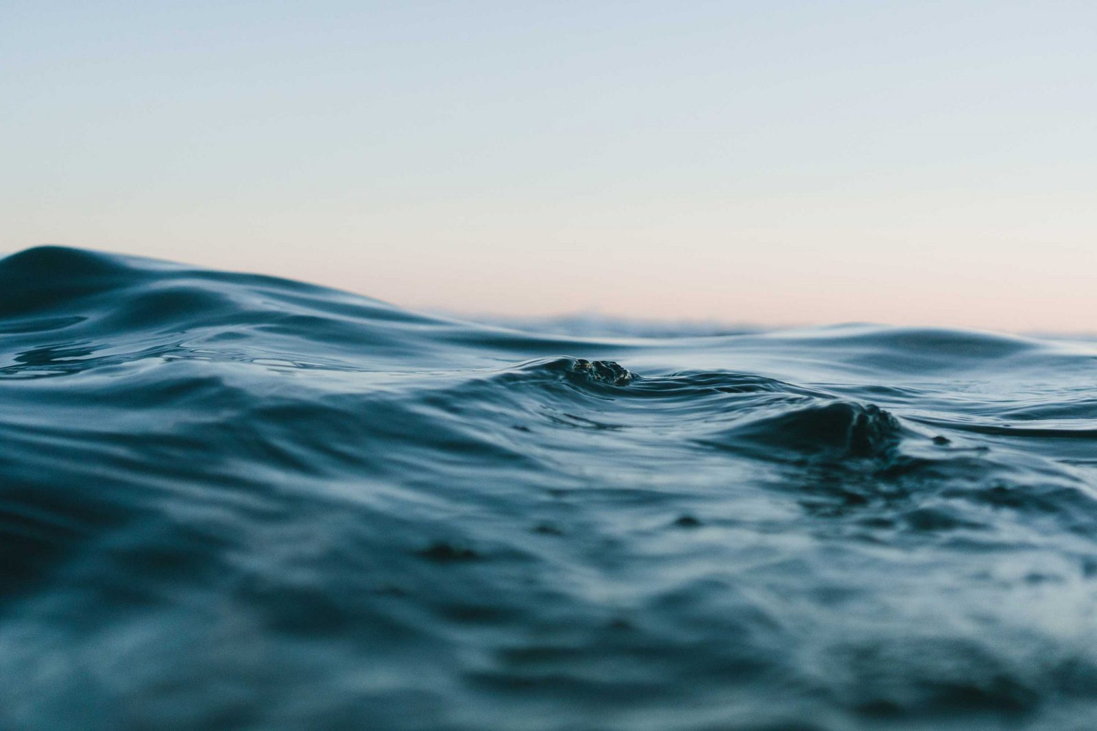 Help Zenith support National Marine Week!
